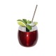 Copo para Drink 650ml com Canudo em Inox – Vermelho Verniz GAS-0075